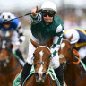 ‘Imagine what she would have won the Melbourne Cup by’: Via Sistina sets Flemington alight