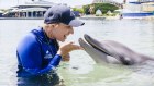 Tiana Miles with dolphin Zippa in Sea Wrold.