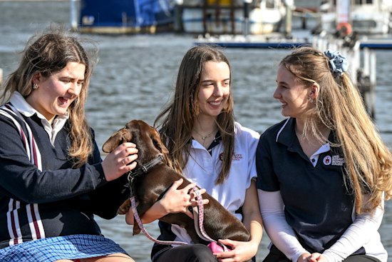 Lakes Entrance Secondary College students Aivah Neilson, Jacqulyn Shankland and Brianna Tillack are doing a mixture of VCE and vocational major and say the school has helped them discover their career pathway. 