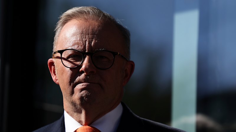 Big business says it will transform productivity. Unions say it will destroy jobs. Labor’s in the middle