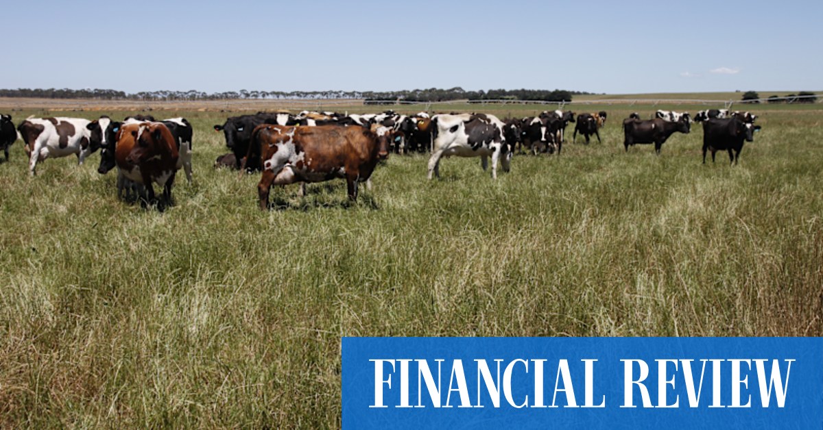 Canadians swallow Gippsland dairy farms - Vimarsana News
