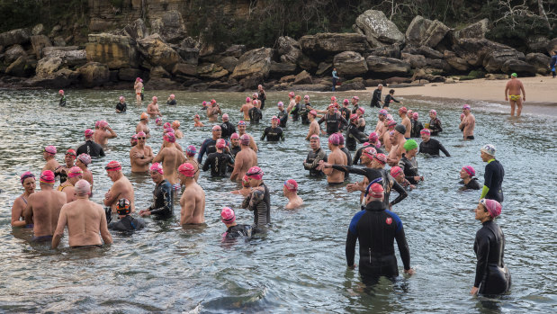 Bold and Beautiful Swimming Club members entering the water at Shelly Beach, less than a week after a shark attack in the same area.