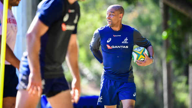 Gregan has been enlisted to work with Australia's halfbacks and five-eighths. 