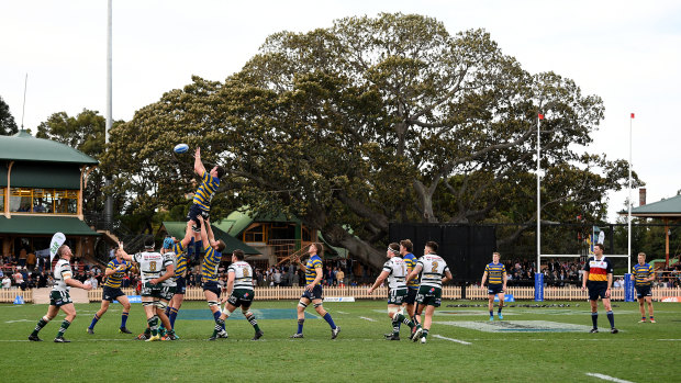 A shot from the 2018 Shute Shield final between Sydney University and Warringah at North Sydney Oval.