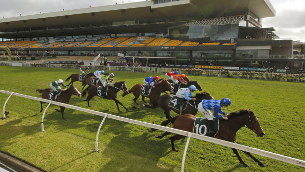 Vangelic holds off the challengers in the Golden Pendant at Rosehill on Saturday.