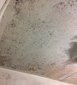 Black mould covers the ceiling of one of the flats in the Clifton Hill estate.