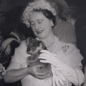 The Queen Mother with one of the koalas from the lone pine koala sanctuary 60 years ago on October 29, 1958.