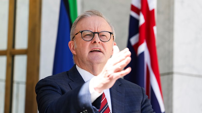 Albanese to take gun law campaign bush as Nationals pushback exposes rural divide