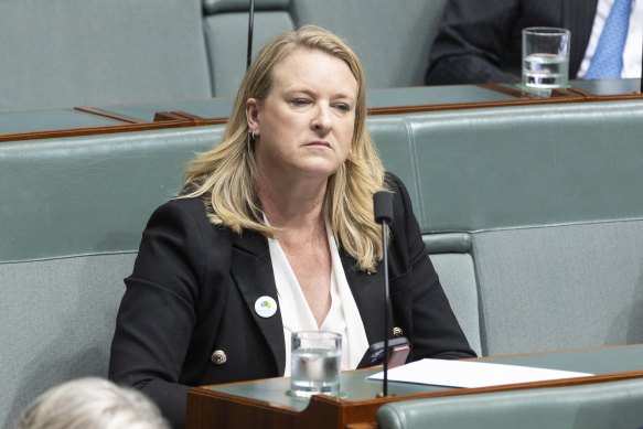 North Sydney MP Kylea Tink said she would have reported verbal abuse she received in the House to the commission if it already existed. 