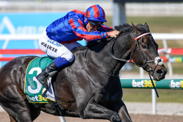 Prince of Arran finished second in the Melbourne Cup. 