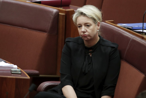 Senator Bridget McKenzie in the Senate on Wednesday.