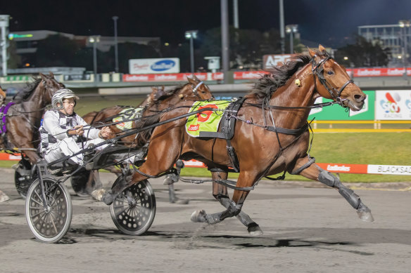Leap To Fame storms away with the Sunshine Sprint at Albion Park on Saturday night.