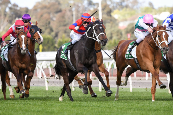 Verry Elleegant won last year’s Turnbull Stakes.