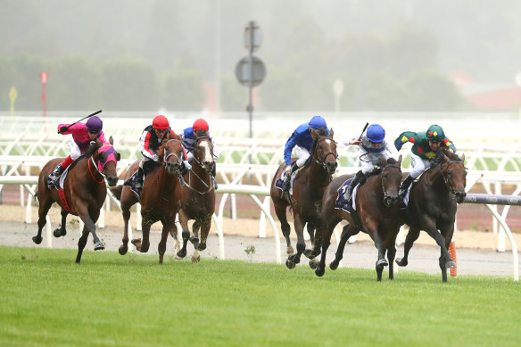 Unrelenting: Alligator Blood and Catalyst were neck-and-neck at Flemington. 