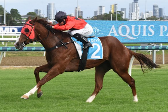Jett Newman winning on Runaway Tycoon at the Gold Coast.