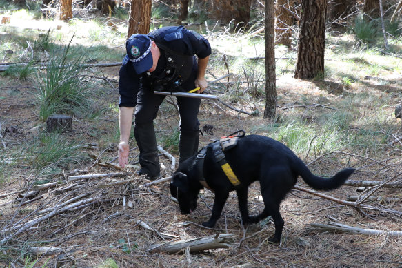 A bushland search will continue on Saturday for missing woman Jessica Zrinski.