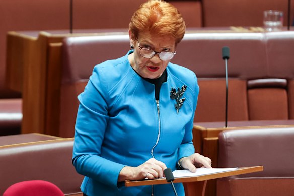 One Nation leader Pauline Hanson.