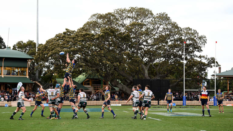 Queues at the bar were a small price to pay for the picturesque setting of North Sydney Oval.