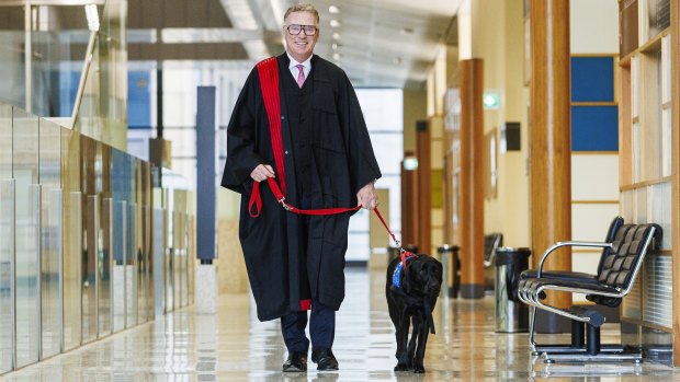 Paw and order: Poppy keeps children calm in the courtroom