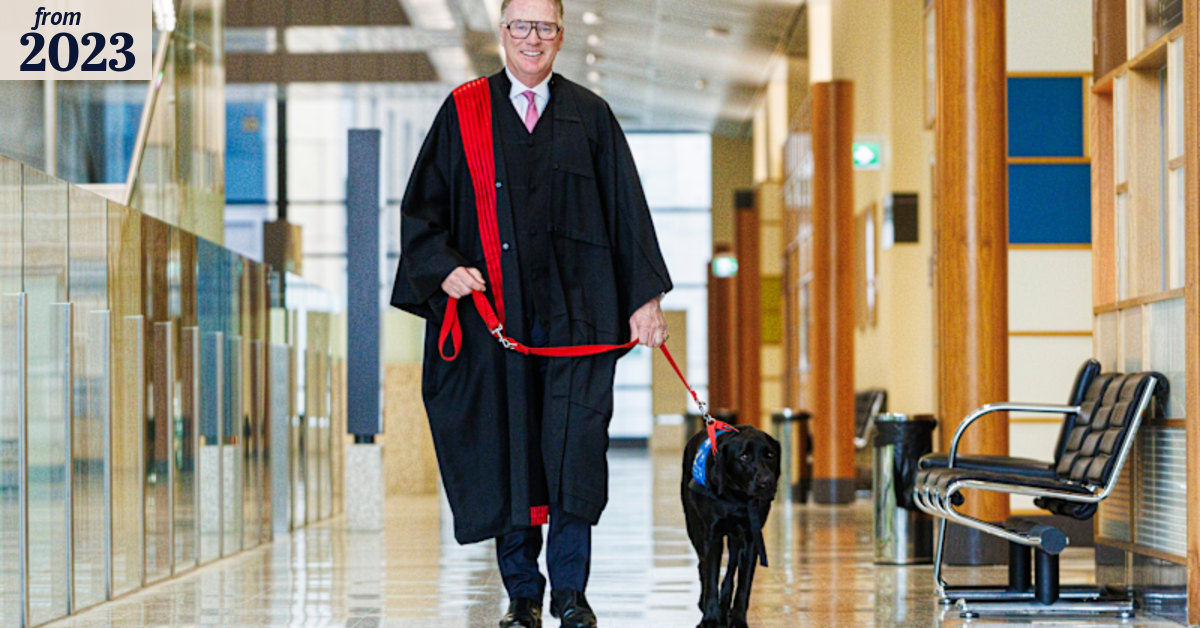 Therapy dogs, assistance dogs, support dogs: Paw and order: Poppy keeps ...