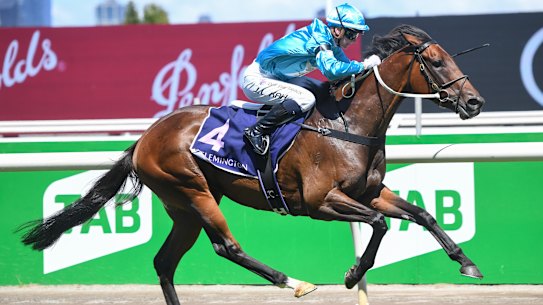Annavisto ridden by Jamie Kah at Flemington Racecourse.