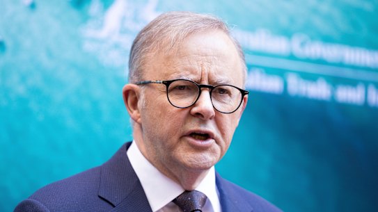 Prime Minister Anthony Albanese