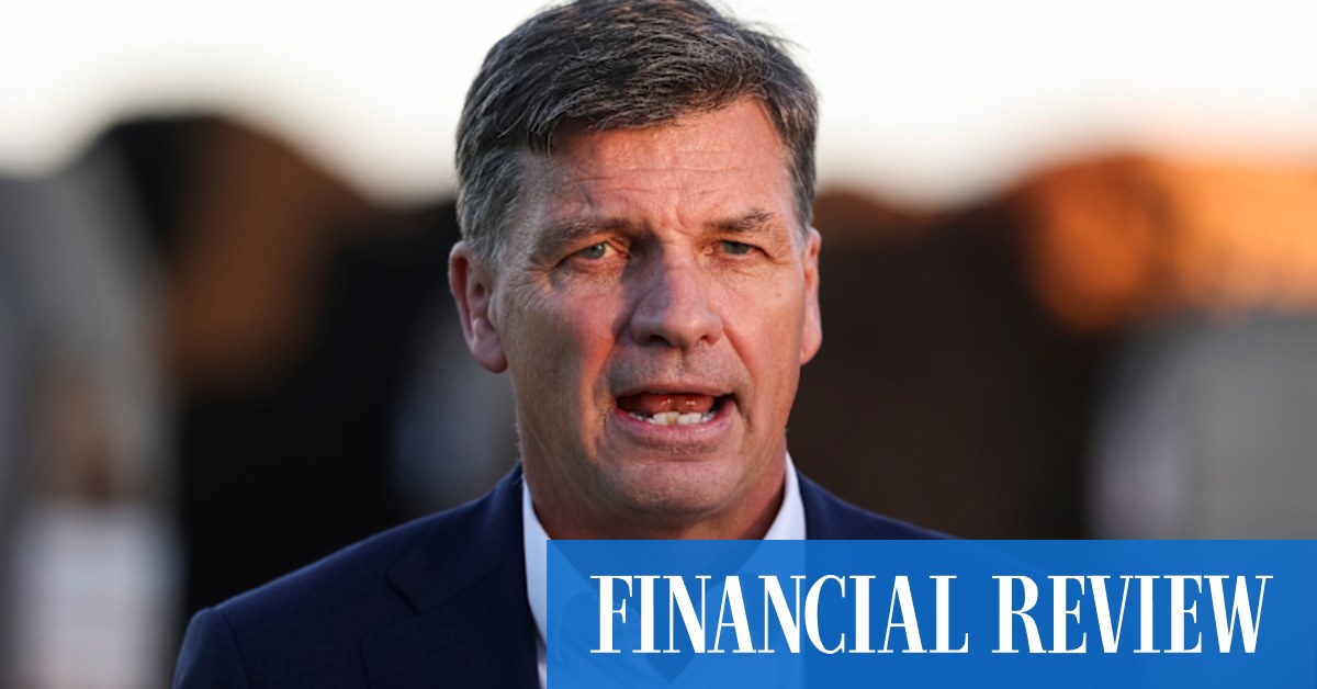 Trump-style screenings of the social media accounts of visa applicants will be a standard feature for vetting under the Liberal Party’s approach to migration.