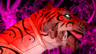 The roving tiger at Light Creatures, Illuminate Adelaide