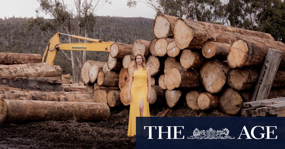 Logging Tasmania: How Mona's David Walsh, Kirsha Kaechele brought industry's most powerful players together - Vimarsana News