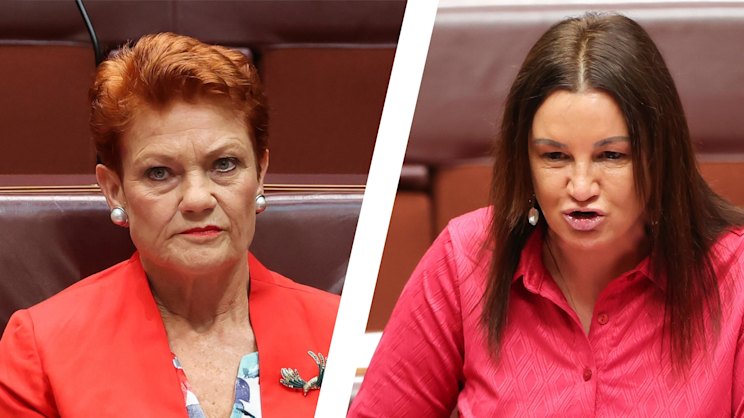 smh.com.au - Paul Sakkal - 'Enough is enough': Lambie slams Hanson's latest crass cartoon attack