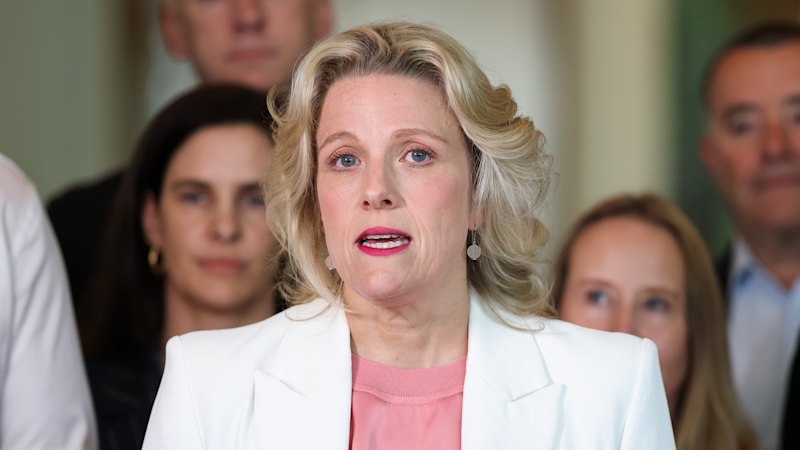 Labor ministers contradict each other over ATO credit card surcharge ban