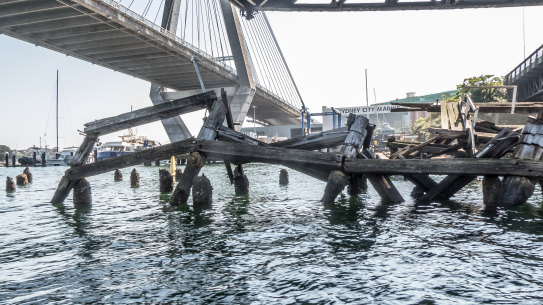 A dilapidated wharf under the Anzac Bridge. 