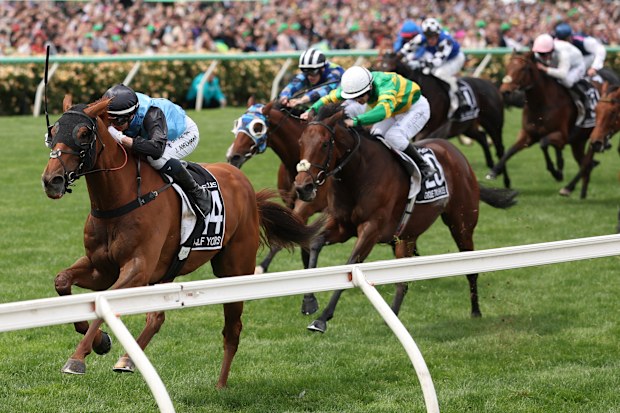 Jamie Melham rides #14 Half Yours to win race seven the Lexus Melbourne Cup during Melbourne Cup Day at Flemington Racecourse on November 04, 2025 in Melbourne, Australia.