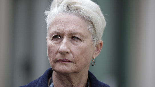 Dr Kerryn Phelps has announced she will not run against Sydney lord mayor Clover Moore in the upcoming council election.