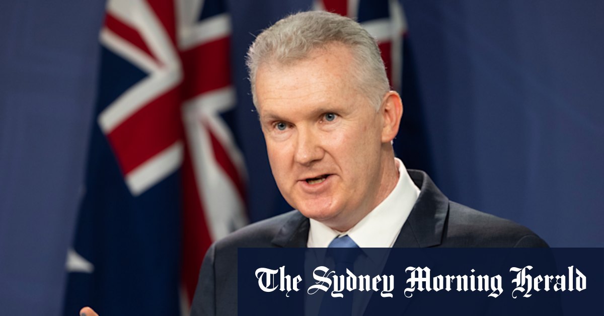 Election 2022: Labor's Tony Burke backs in Anthony Albanese over 5.1 per cent wage hike - Vimarsana News