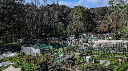 The gardens were last year deemed extremely risky.