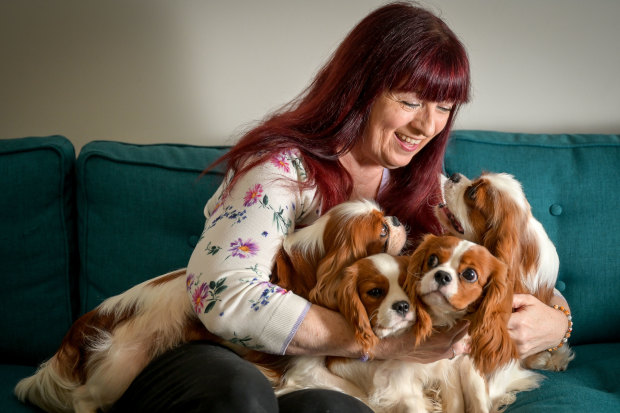 Gaynor Andrew has been breeding Cavalier King Charles Spaniels and advising puppy owners on holistic health for more than 10 years.