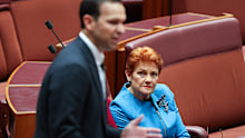One Nation leader Senator Pauline Hanson and Nationals leader Senator Matt Canavan.