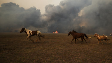 Farmers Count Cost Of Fires But Hopes New Vintage Not Up In Smoke