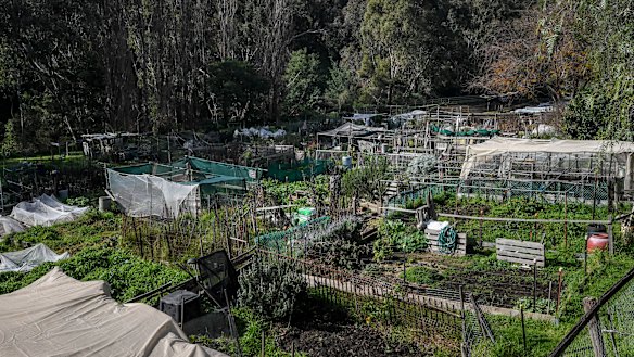 The gardens were last year deemed extremely risky.