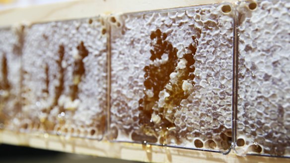 WA honey is some of the healthiest in the world.