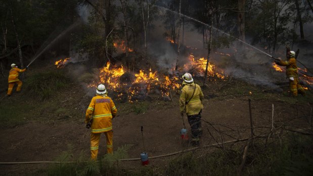 NSW RFS Crews conducting a backburn on the Gospers Mountain Fire at Colo last week. 