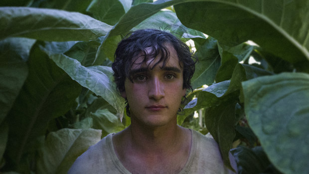 Abstract and ambiguous: Lazzaro.