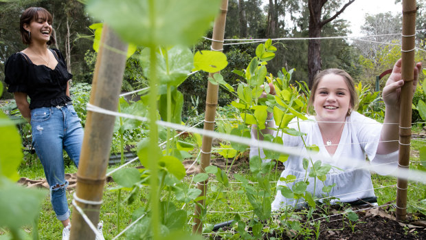 Lorien Novalis Steiner school splits its day into three sections, with all academic content covered in the morning, cultural and arts lessons in the afternoon and hands-on sessions such as gardening at the end of the day.