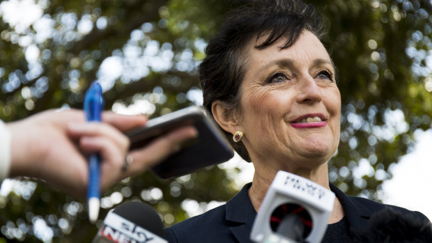 Minister for the Prevention of Domestic Violence and Sexual Assault Pru Goward has announced NSW public sector employees will be entitled to 10 days paid domestic violence leave from next year.