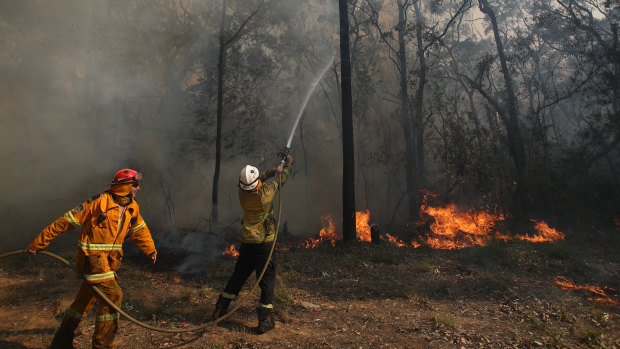 Firefighters battle a blaze at Bomaderry on the state's south coast. 