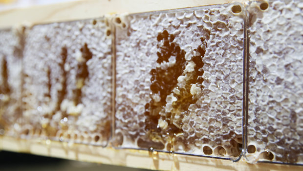 WA honey is some of the healthiest in the world.