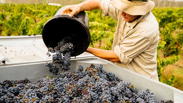 Stella Bella Wines is known for Margaret River classics: chardonnay and cabernet sauvignon.