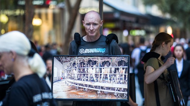 Andy Faulkner displays a monitor playing scenes of animal cruelty in Sydney’s Pitt Street Mall.