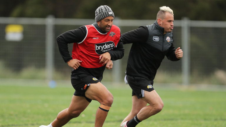 jack russell dog breeders near me